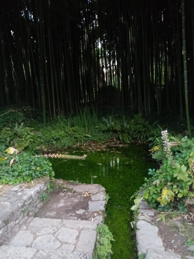 La Bella Ninfa *